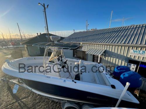 Wellcraft 252 Fisherman scheda tecnica e recensioni